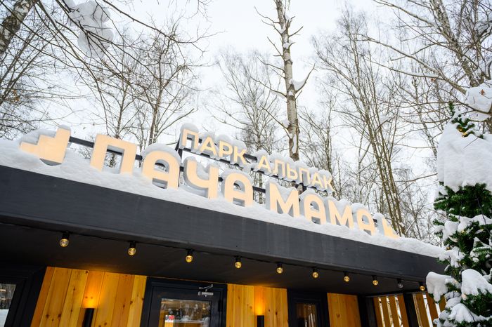 Парк альпак «Пача мама» в парке «Взлет» Домодедово