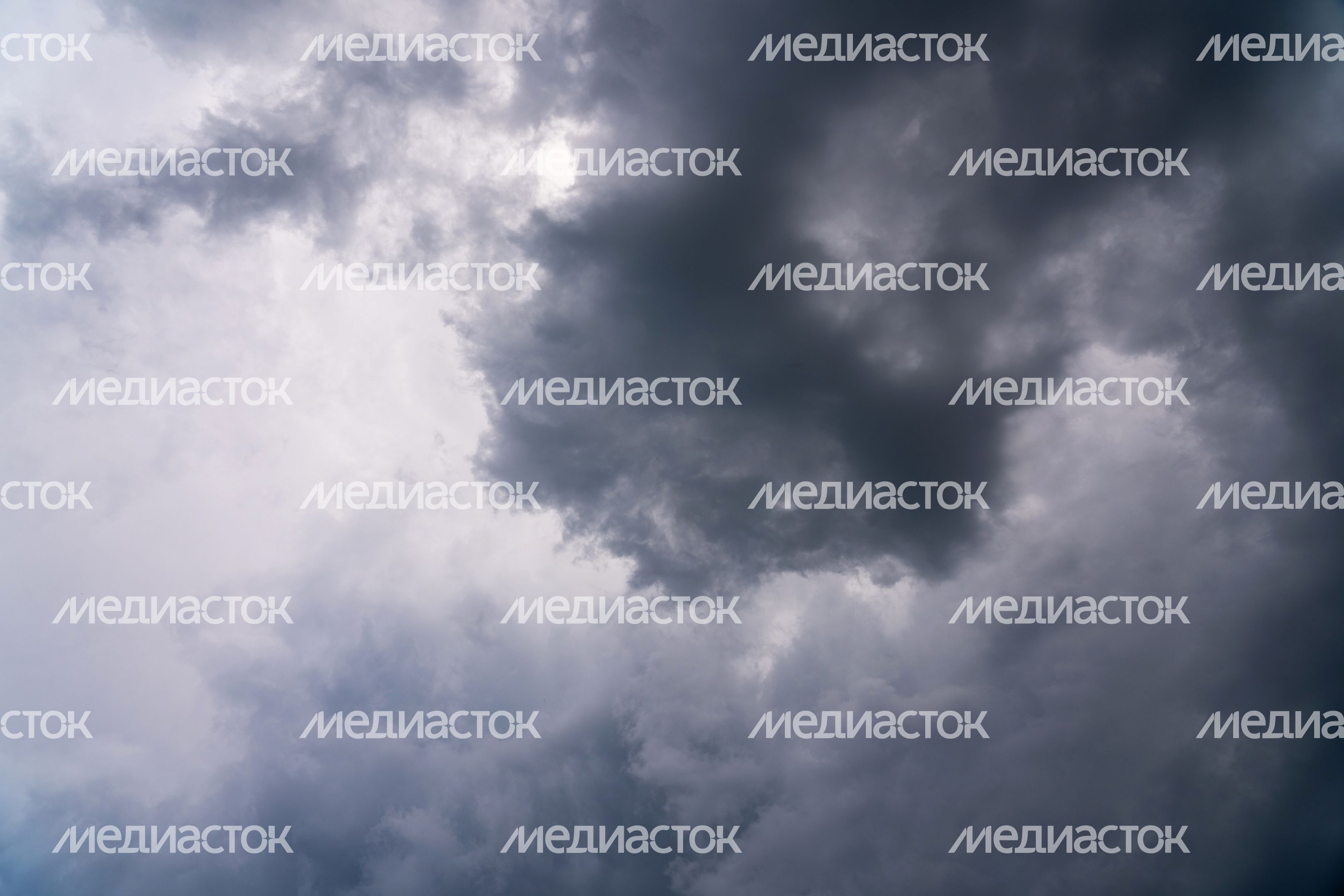 Хаски-деревня "Рузская Аляска". Лето