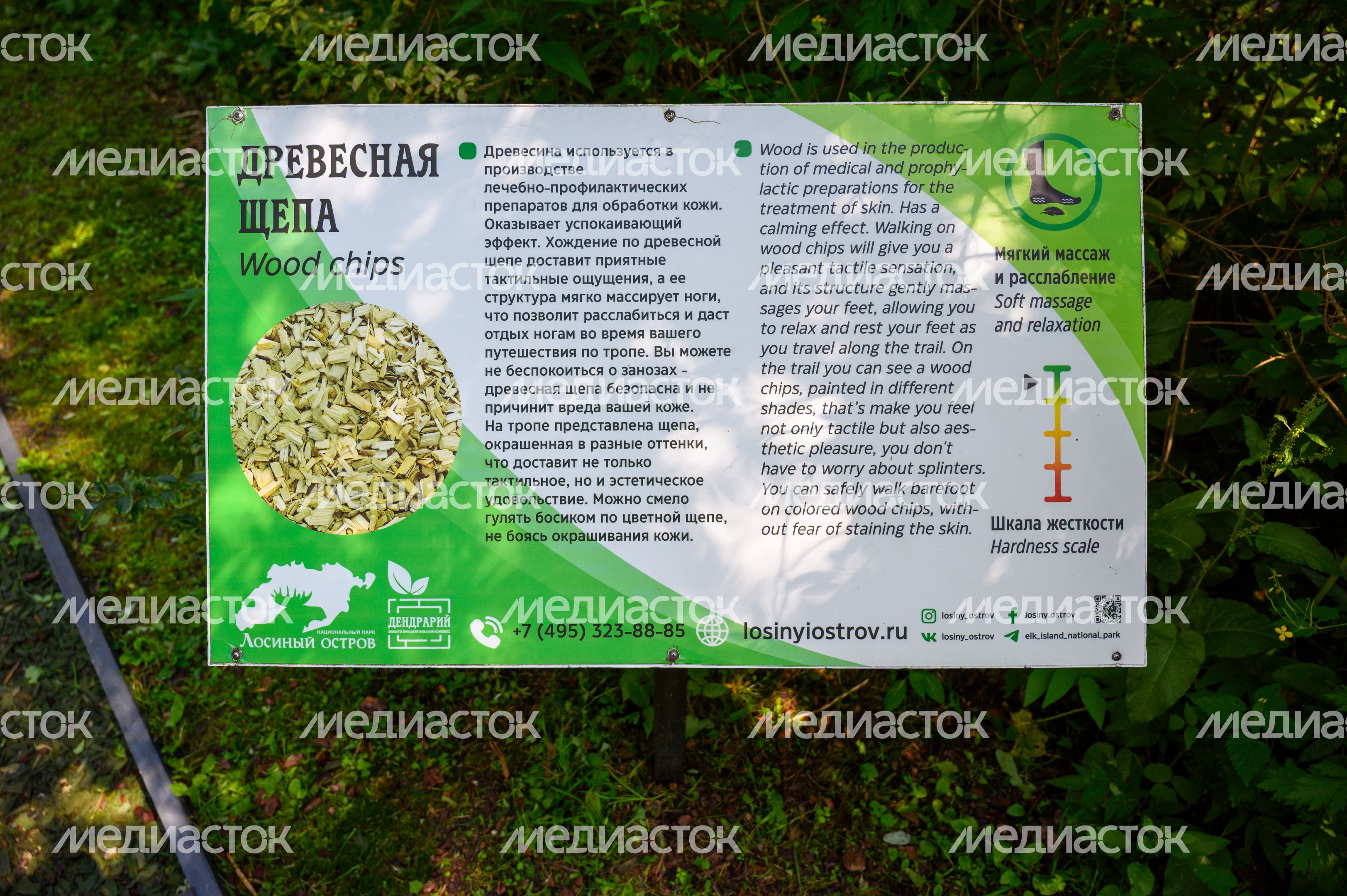 Эколого-просветительский комплекс "Дендрарий" в Мытищах Эколого-просветительский комплекс "Дендрарий" в Мытищах