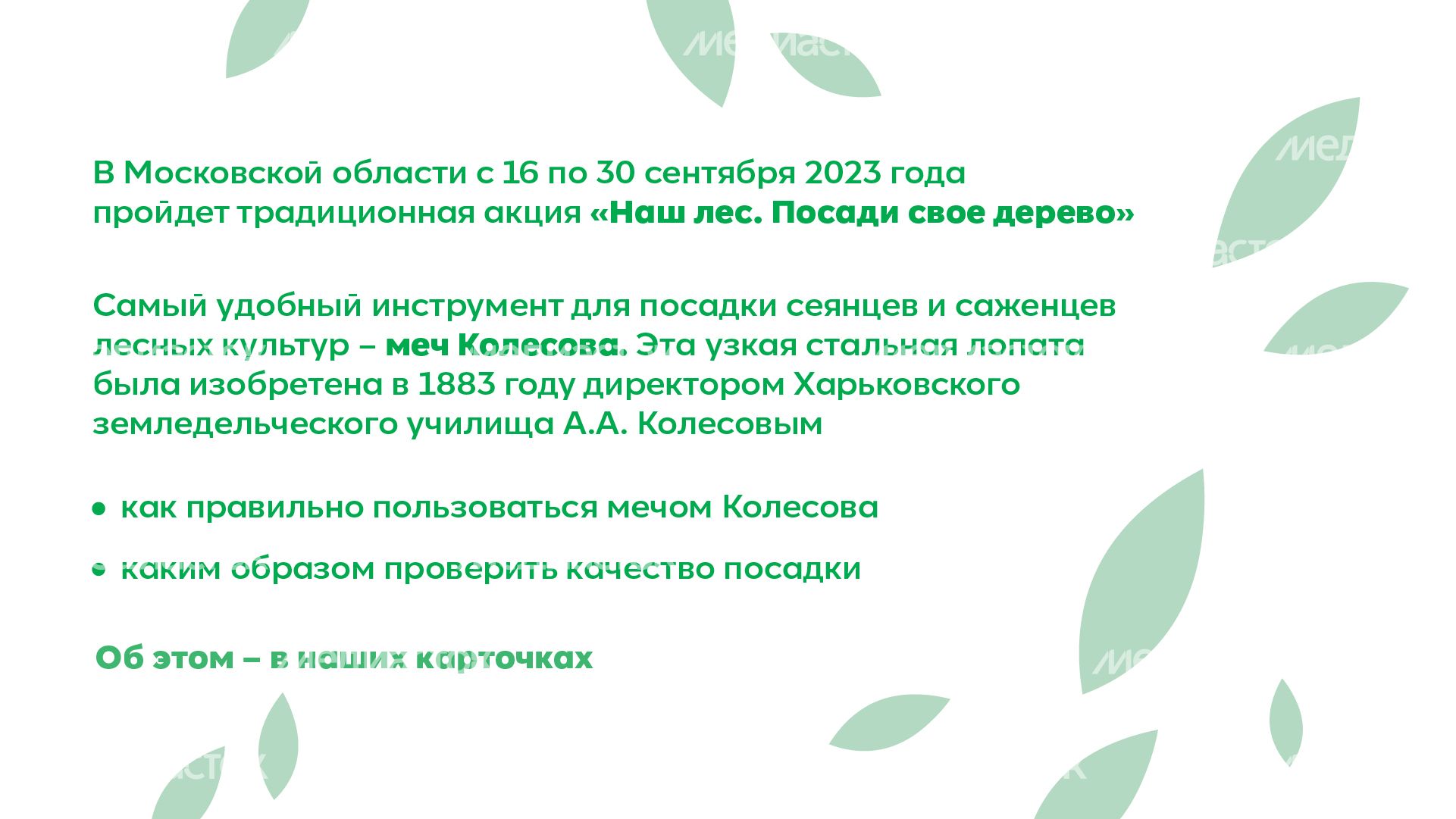 Горизонталь_ меч Колесова_02-100.jpg