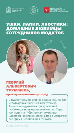 Ушки, лапки, хвостики вертикаль 06