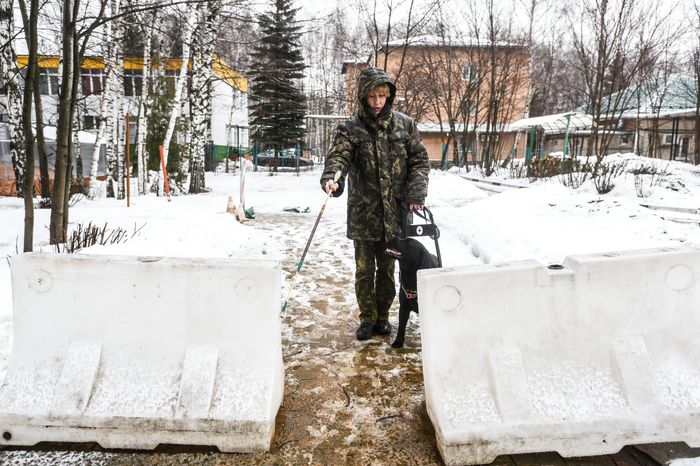 Школа собак‑проводников в Подмосковье