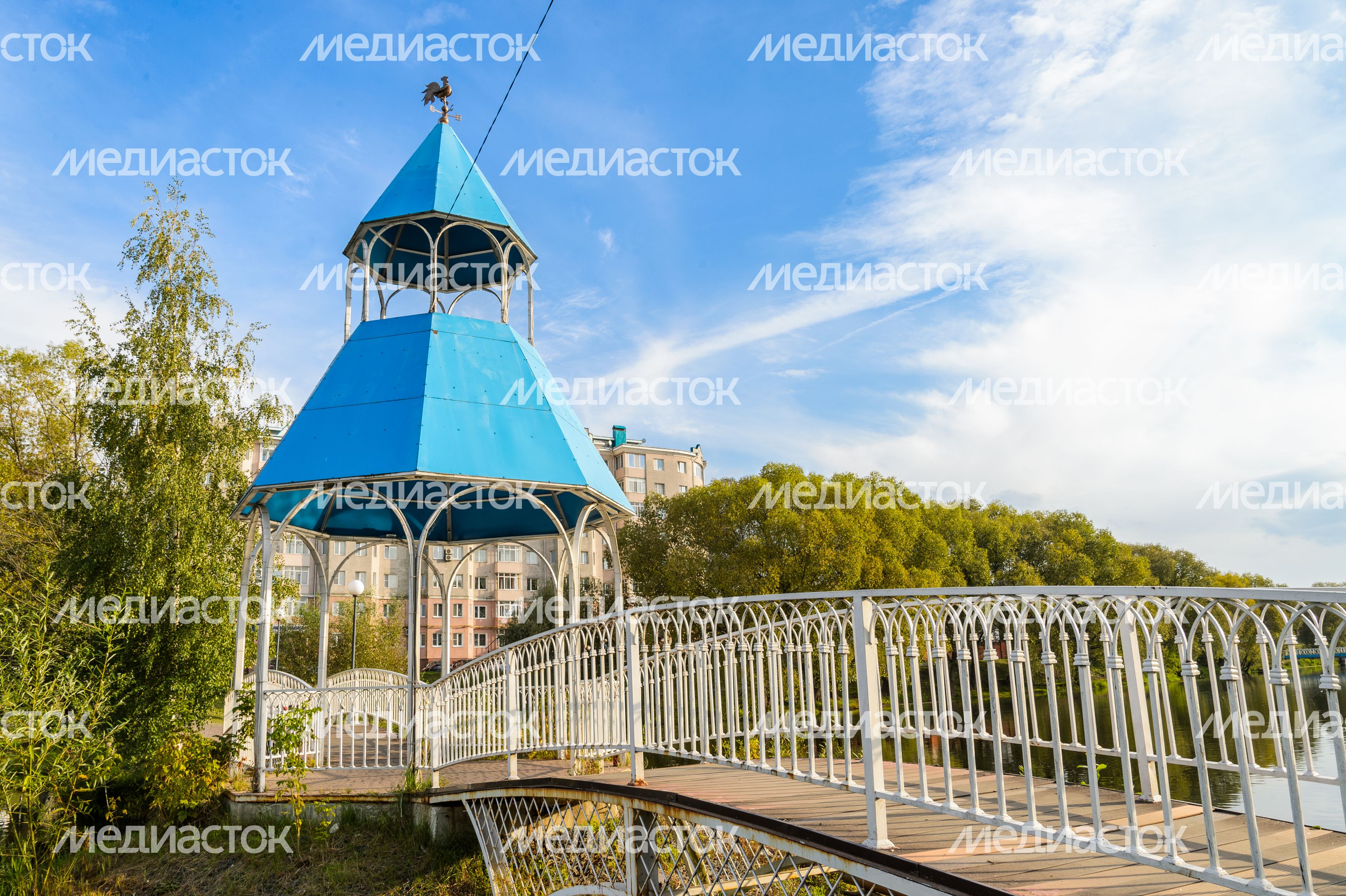 Бронницы. Кожурновский пруд