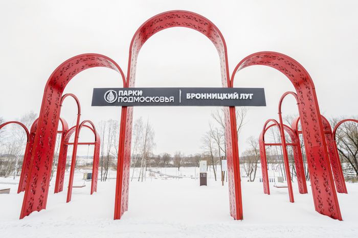 Бронницы. Парк «Бронницкий луг». Зима