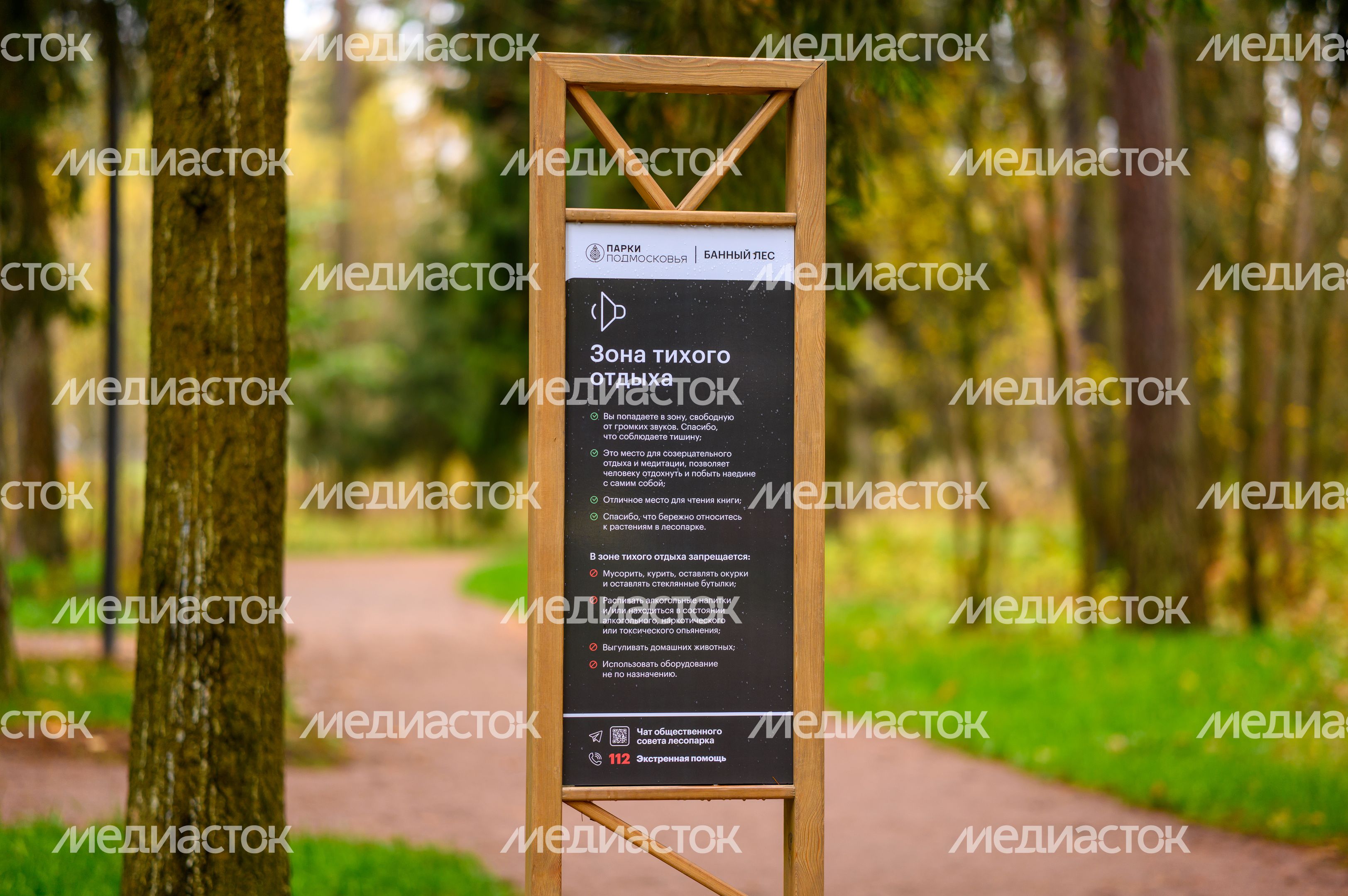 Лесопарк «Банный лес» в Красноармейске осенью Лесопарк «Банный лес» в Красноармейске осенью