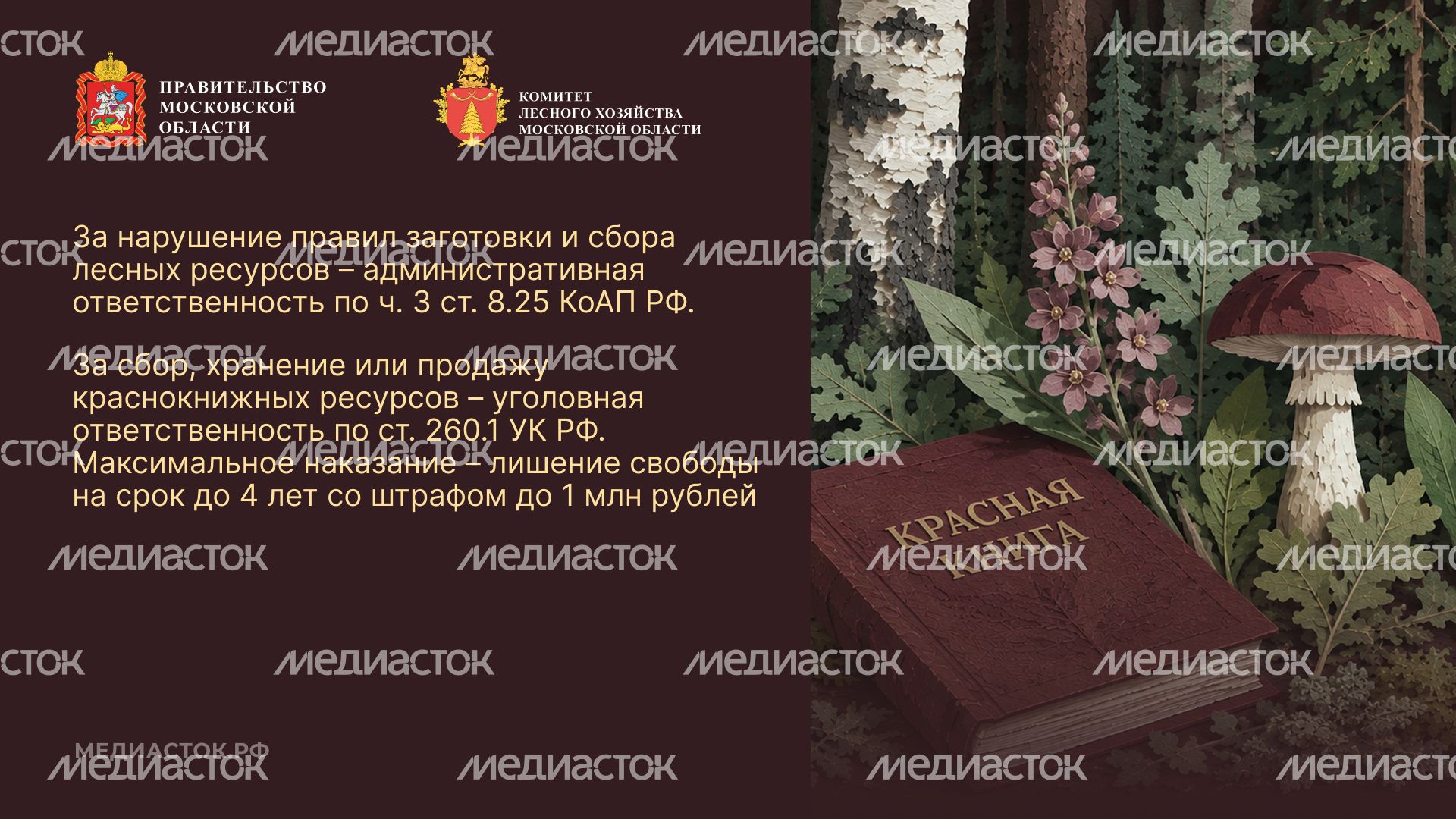 Ягоды, грибы, лекарственные растения горизонталь 10