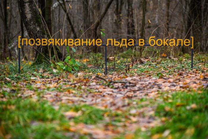 Арт-объект «Субтитры» группы «МишМаш» в парке Малевича
