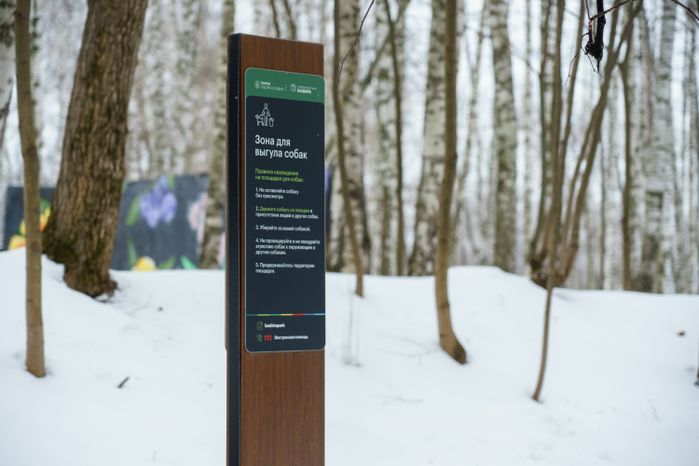 Кашира. Городской парк. Зима