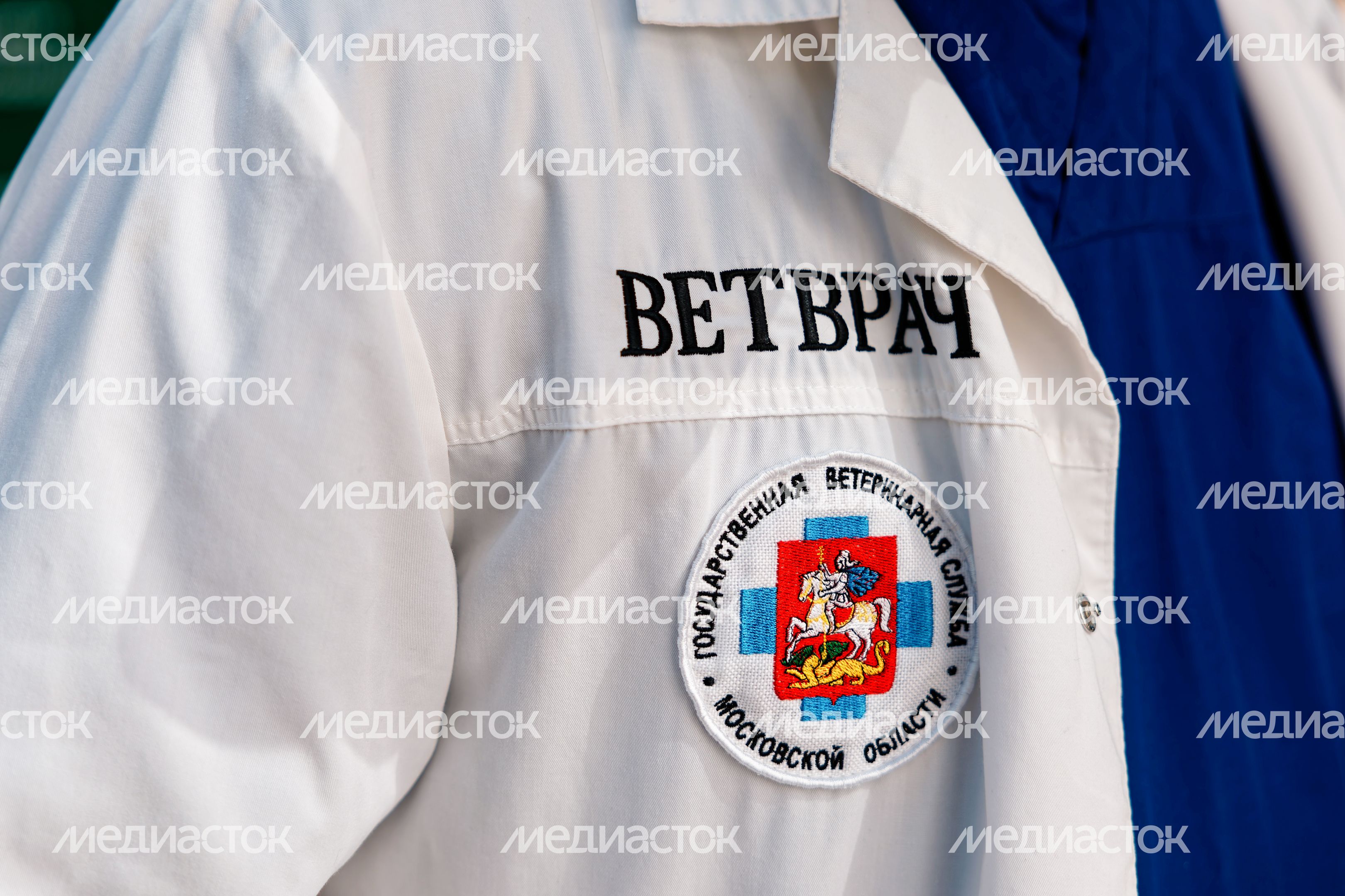 Вакцинация животных в парке «Липовая роща» в Красногорске Вакцинация животных в парке «Липовая роща» в Красногорске