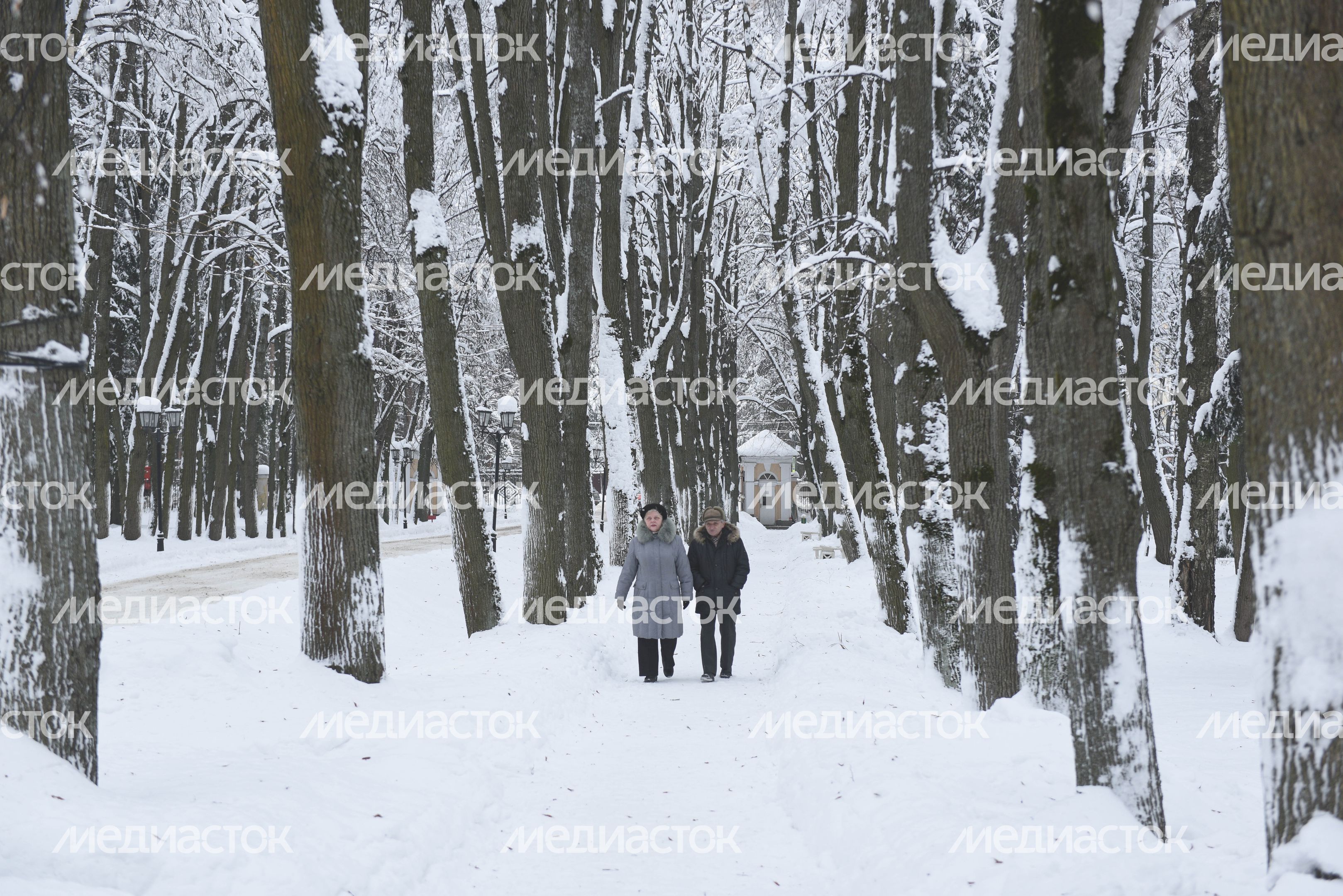 Усадьба Введенское в Звенигороде