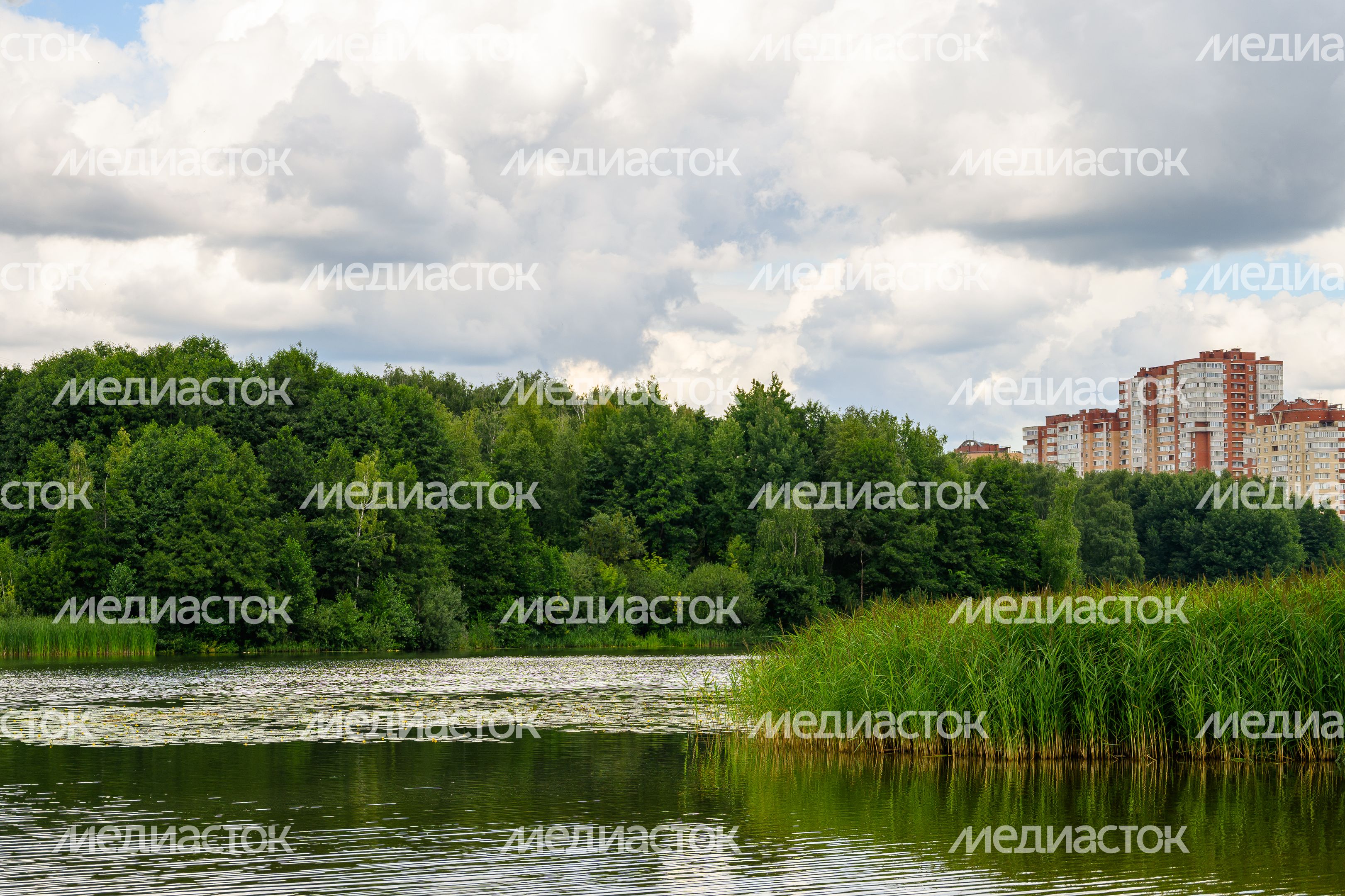 Парк "Заречная" в Балашихе