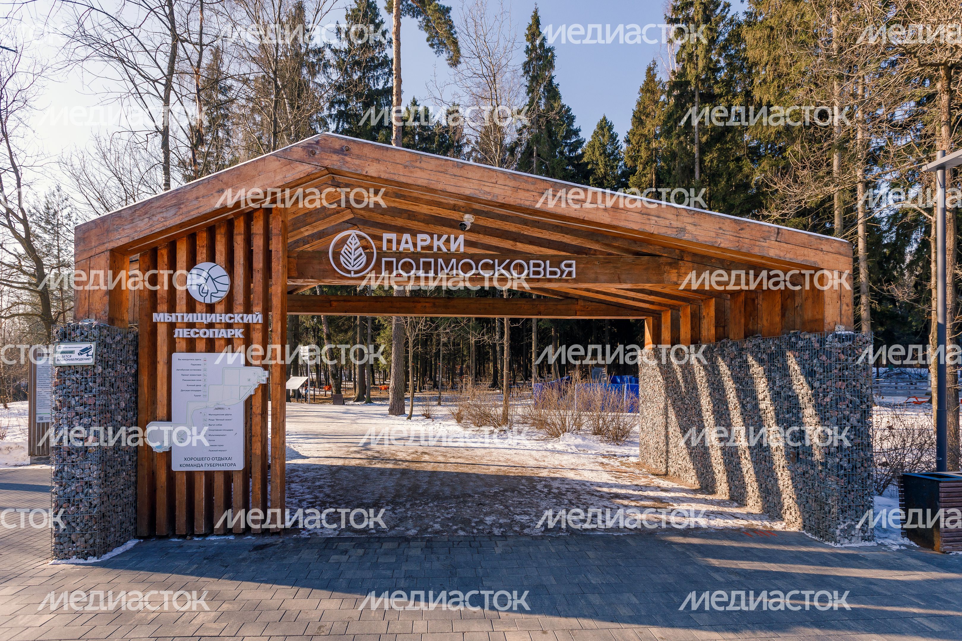 Зимний Мытищинский лесопарк Зимний Мытищинский лесопарк