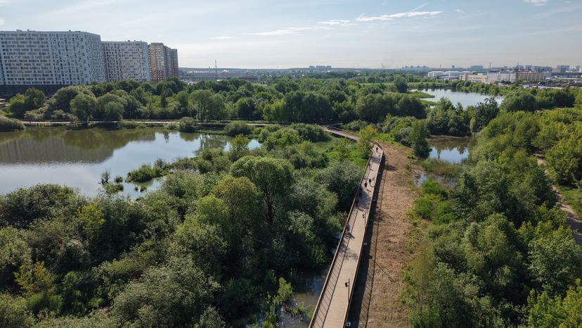 Благоустройство парка "Дружба" в Люберцах