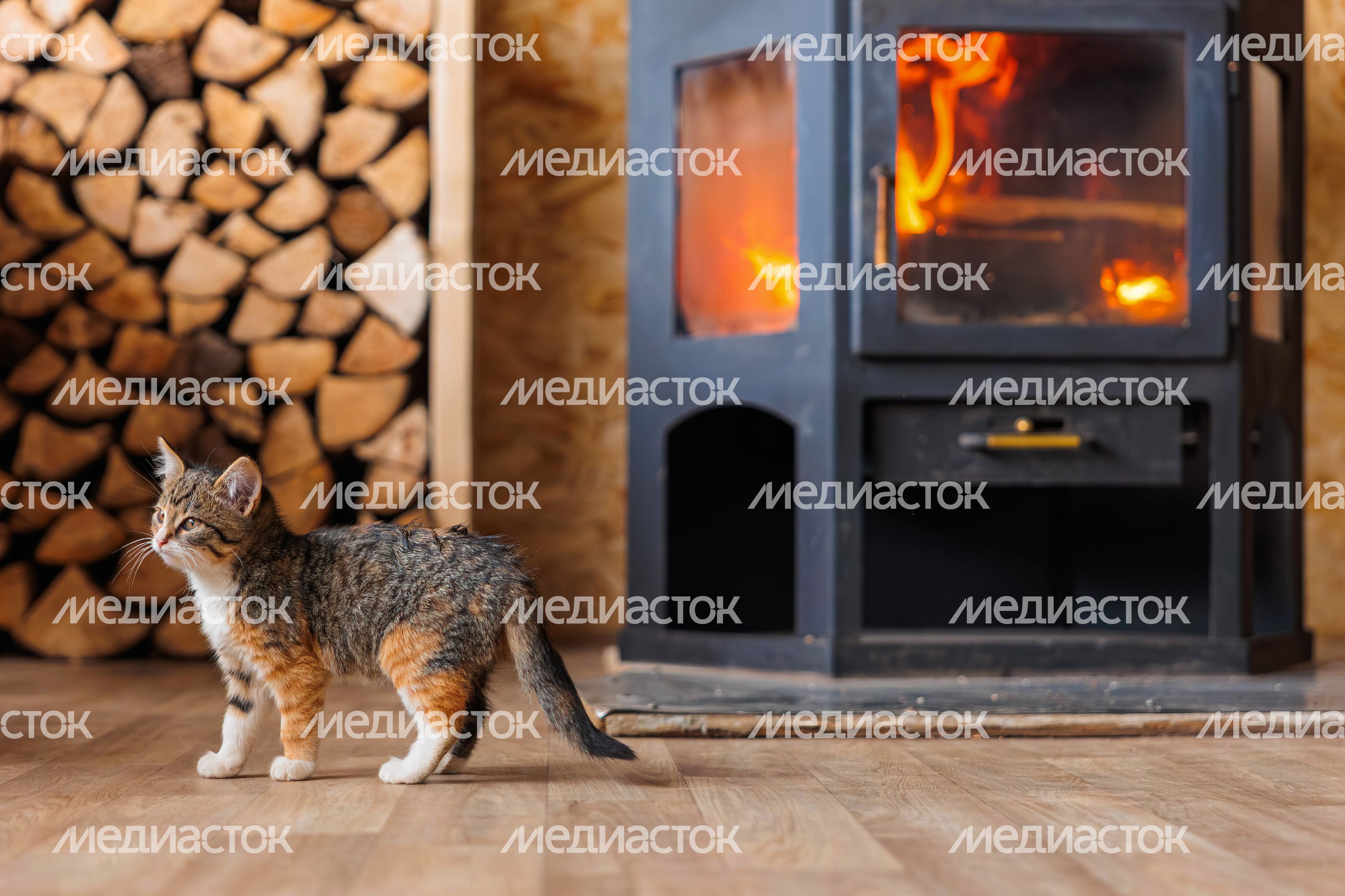 Котенок возле камина