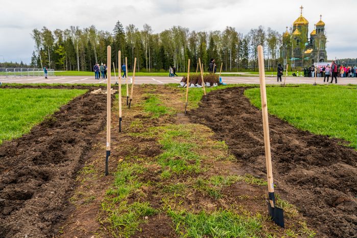 Торжественная высадка масштабного геоглифа к 80-летию Победы