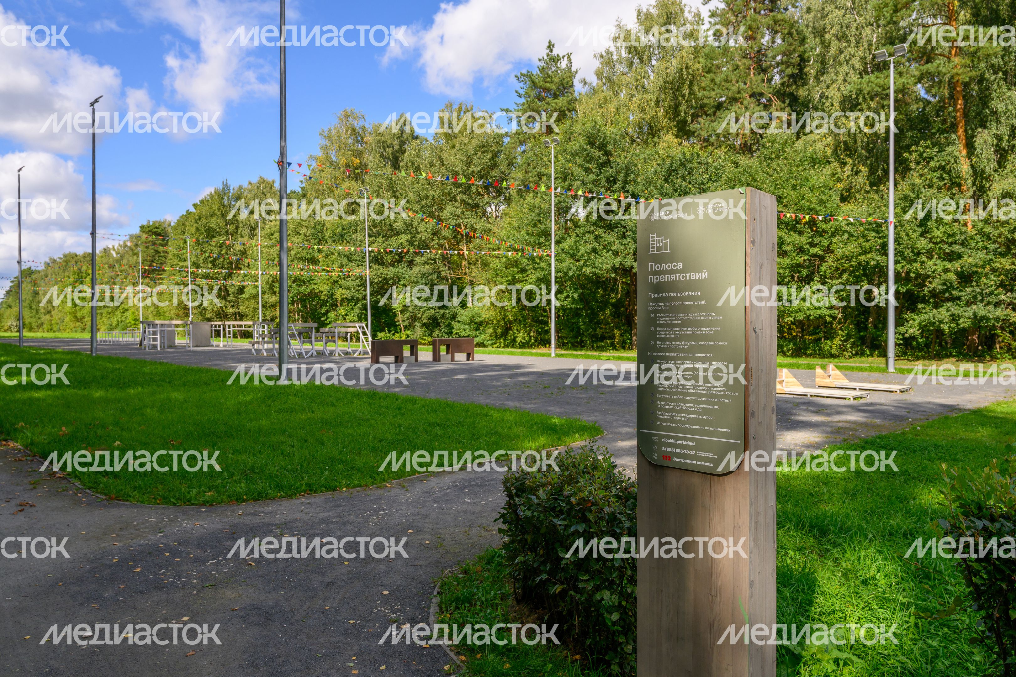 Лето в лесопарке «Гальчино» в Домодедово Лето в лесопарке «Гальчино» в Домодедово