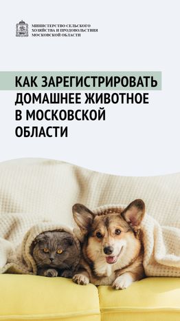 Зарегистрировать домашнее животное ред 2-вертикаль-01.png