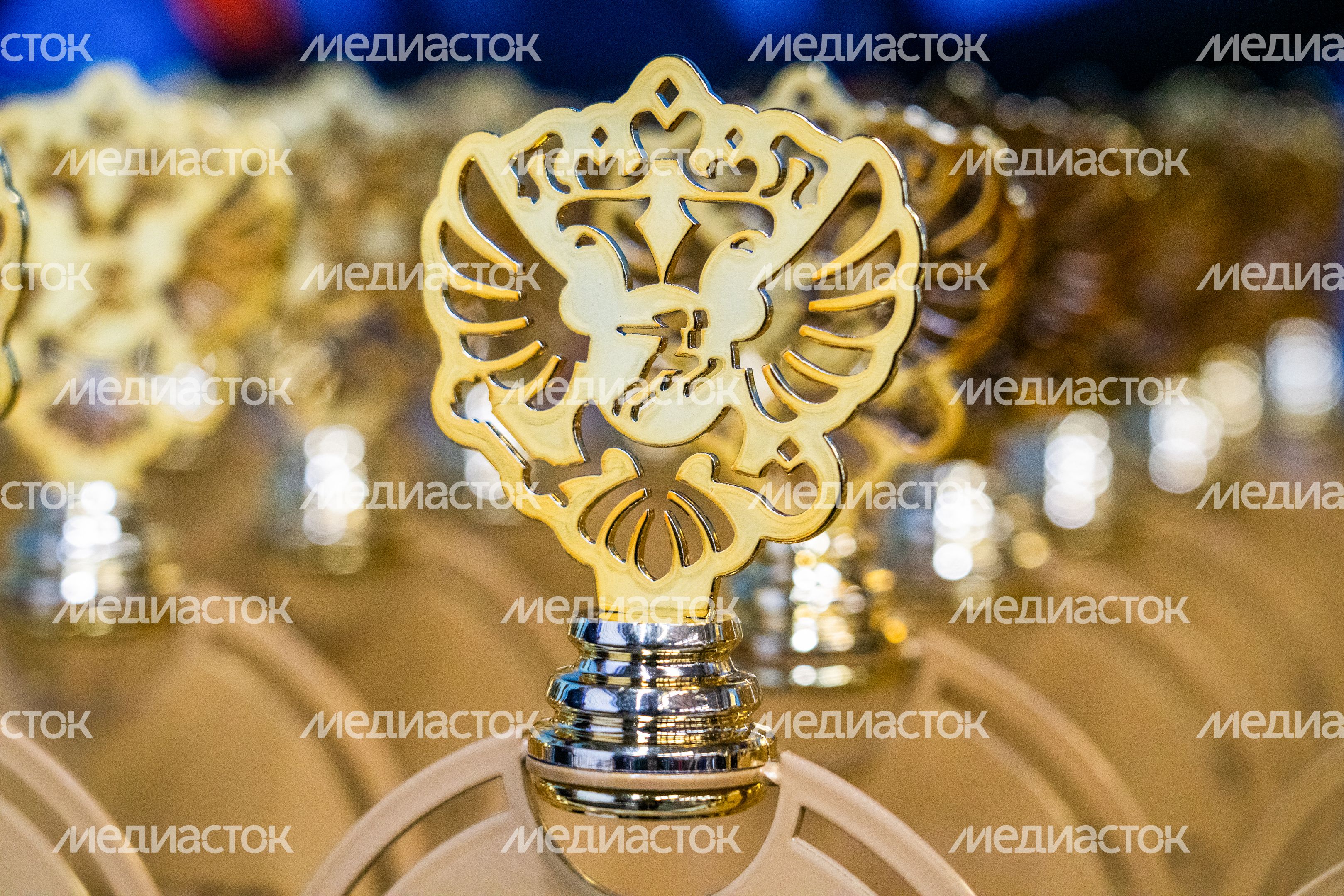 Первенство России по кикбоксингу в Наро-Фоминске