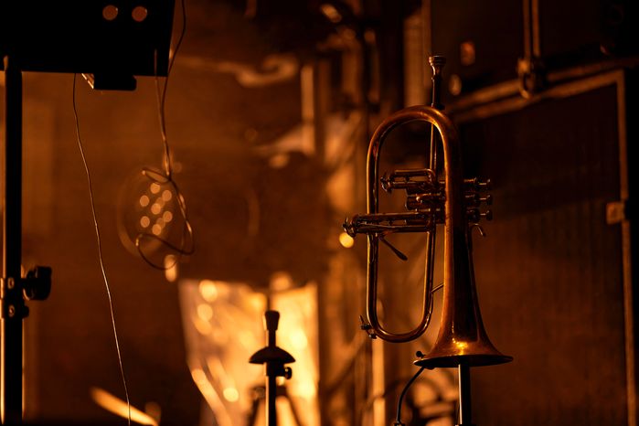 XI Международный фестиваль "Jazzовые сезоны" в Архангельском