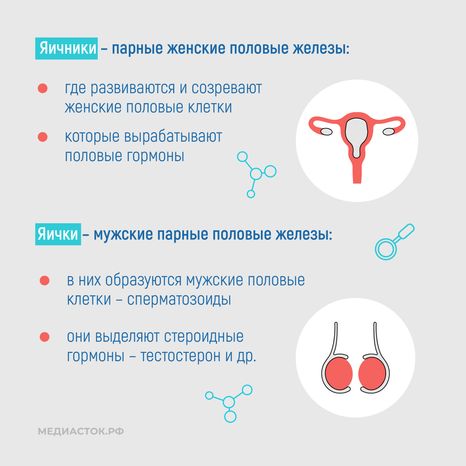 Эндокринные заболевания у наркозависимых квадрат 07