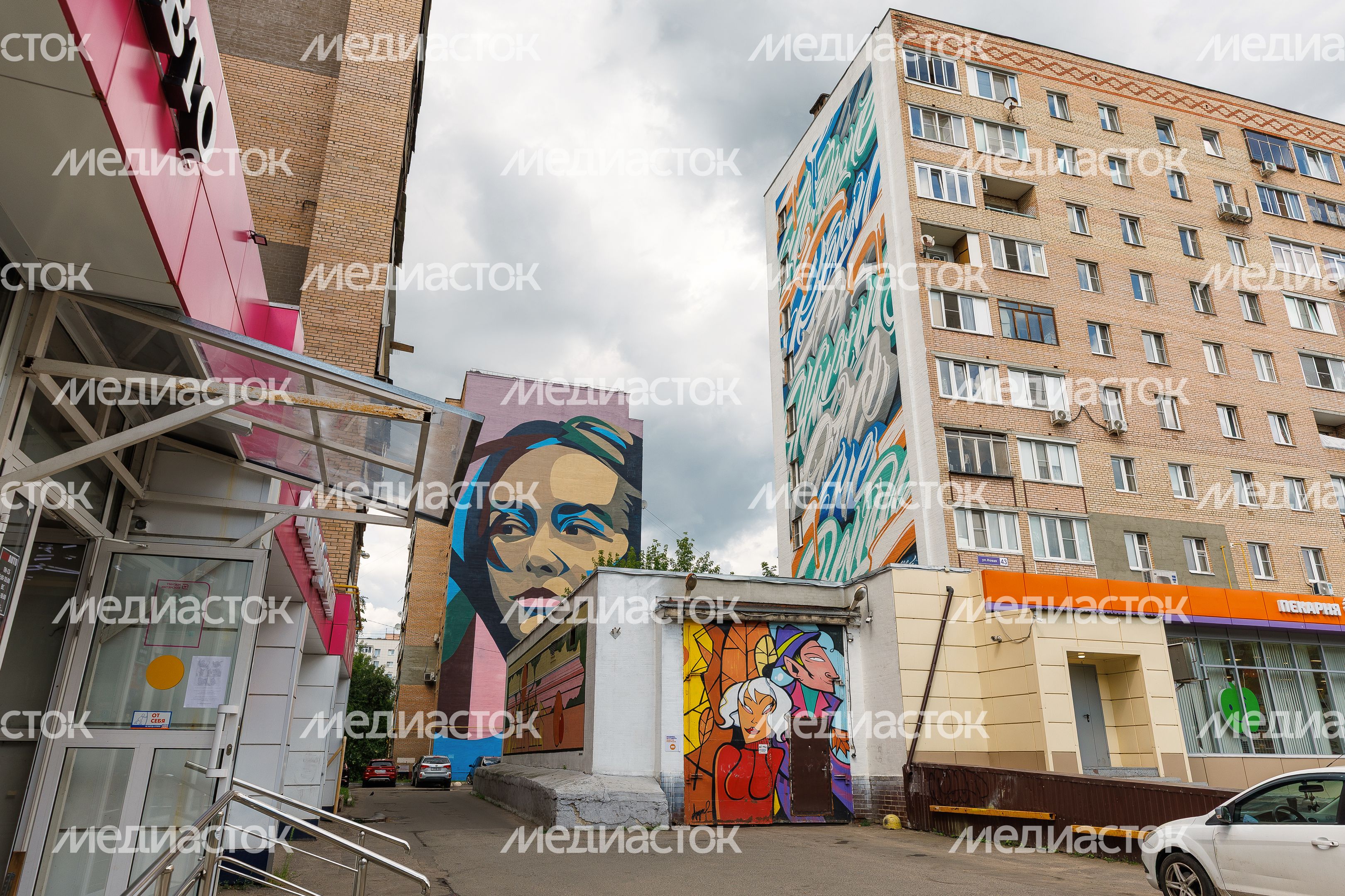 Муралы в Железнодорожном, Балашиха