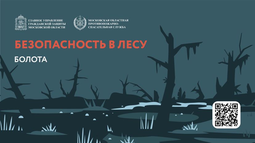 Болото-Горизонталь-01.jpg