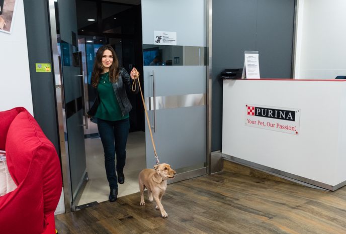 Pet‑friendly офис Purina
