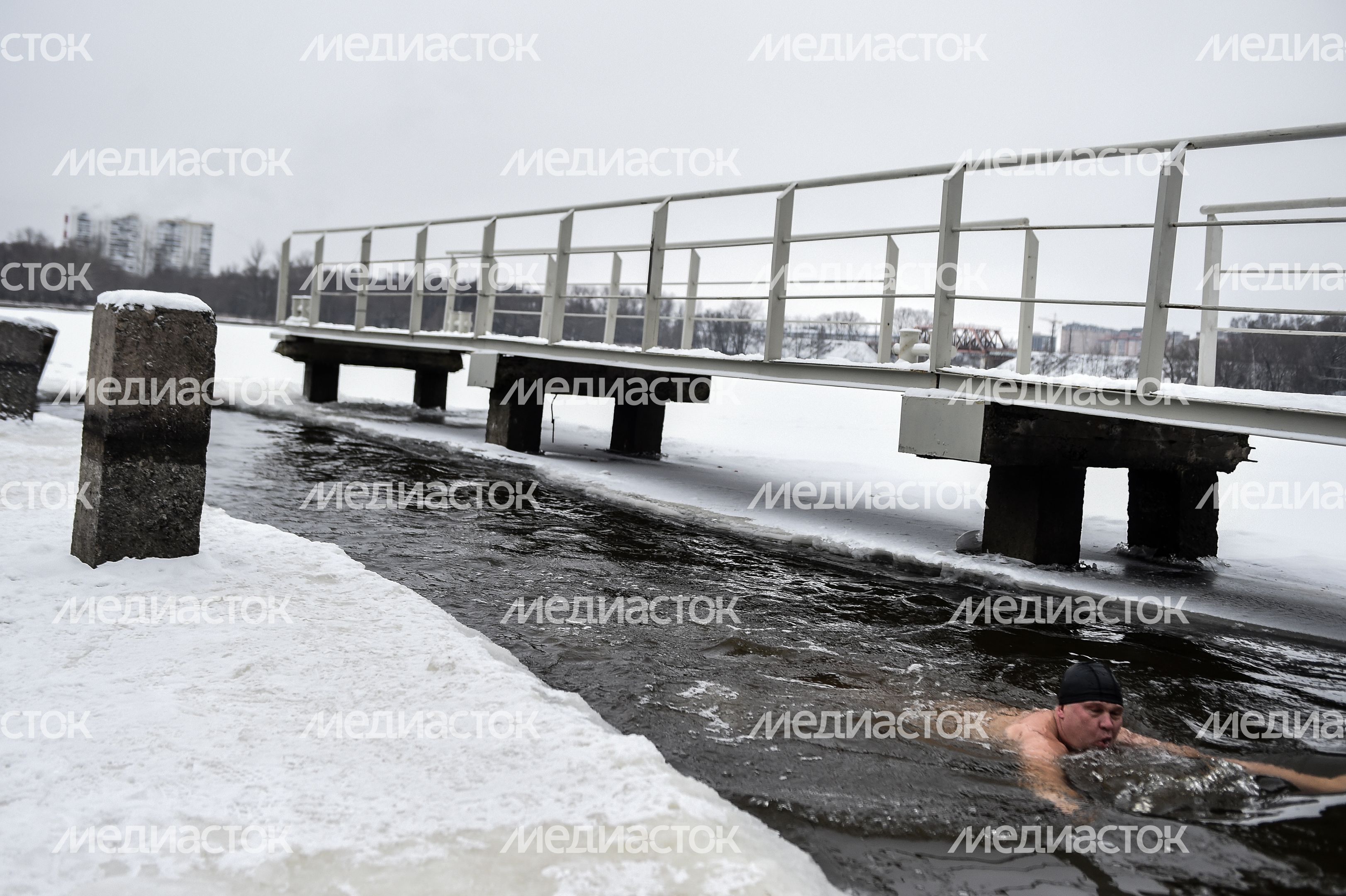 Купание моржей в Долгопрудном