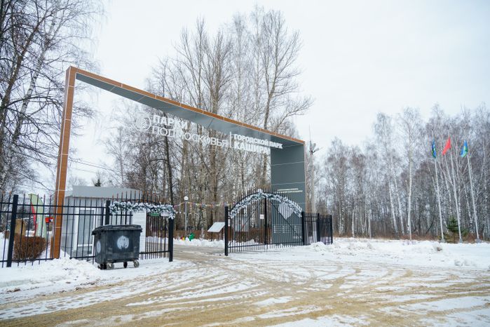 Кашира. Городской парк. Зима