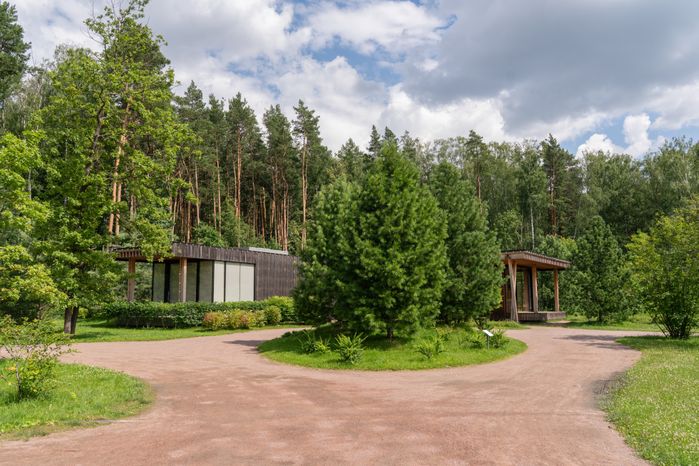 Мещерский парк летом