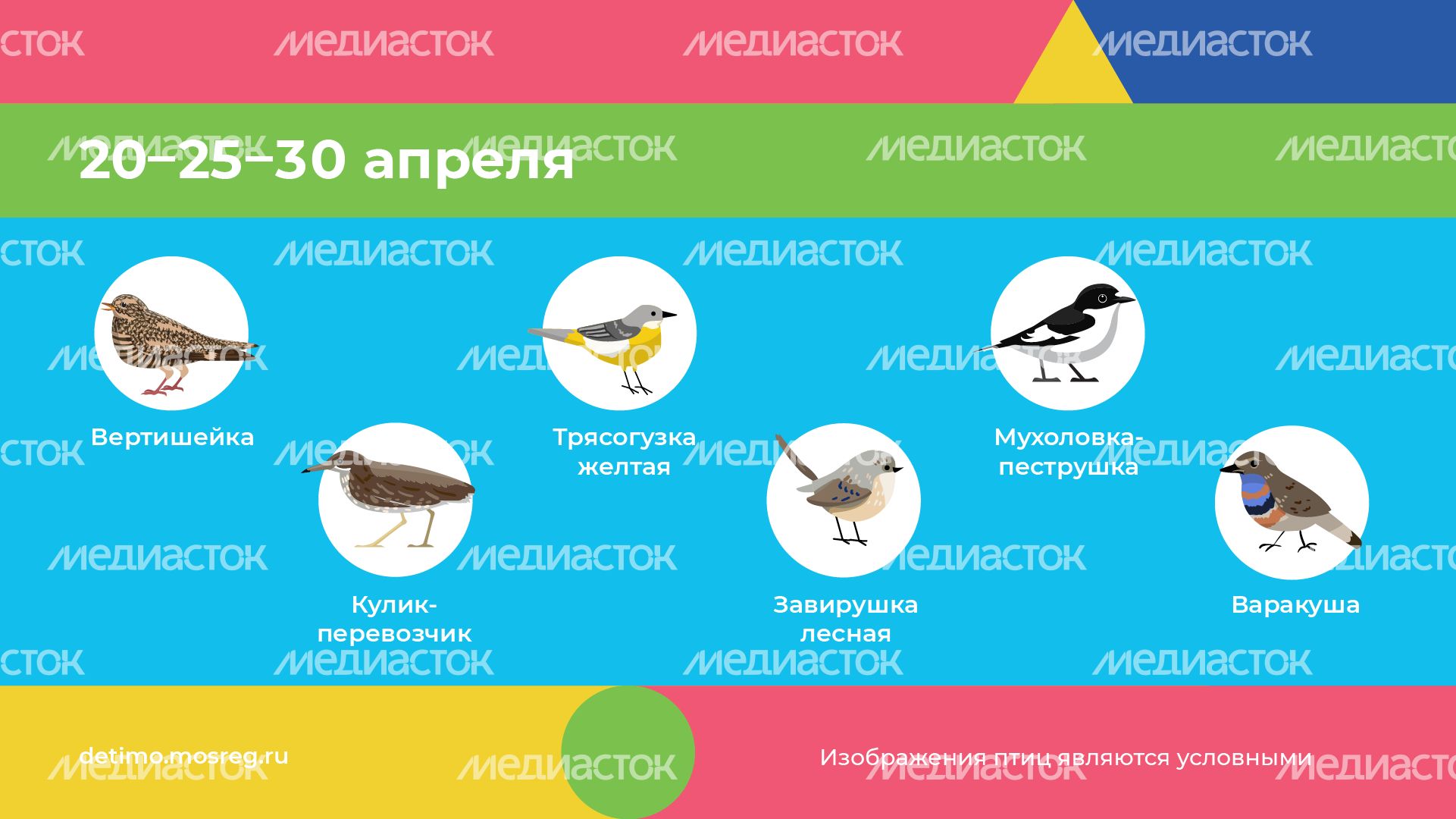 весна летит - горизонталь - 07