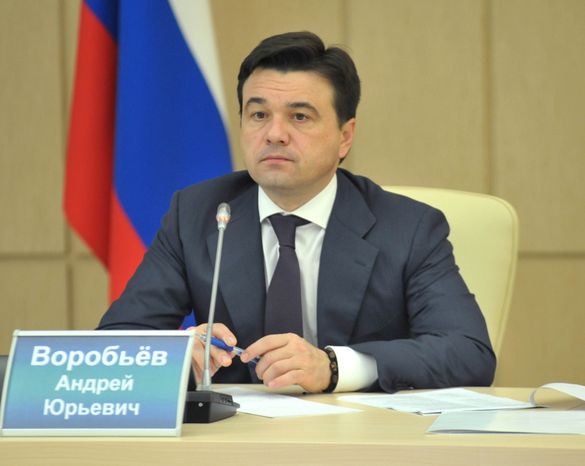 Участие Андрея Воробьева в Общественной палате МО