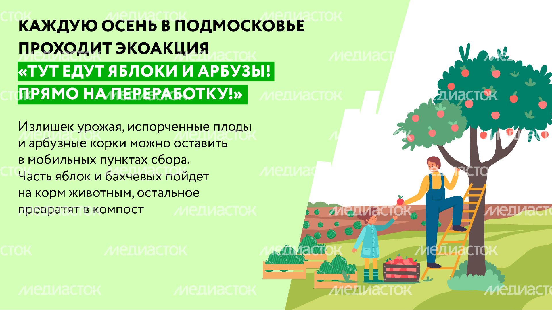 Горизонталь_арбузы_02-100.jpg