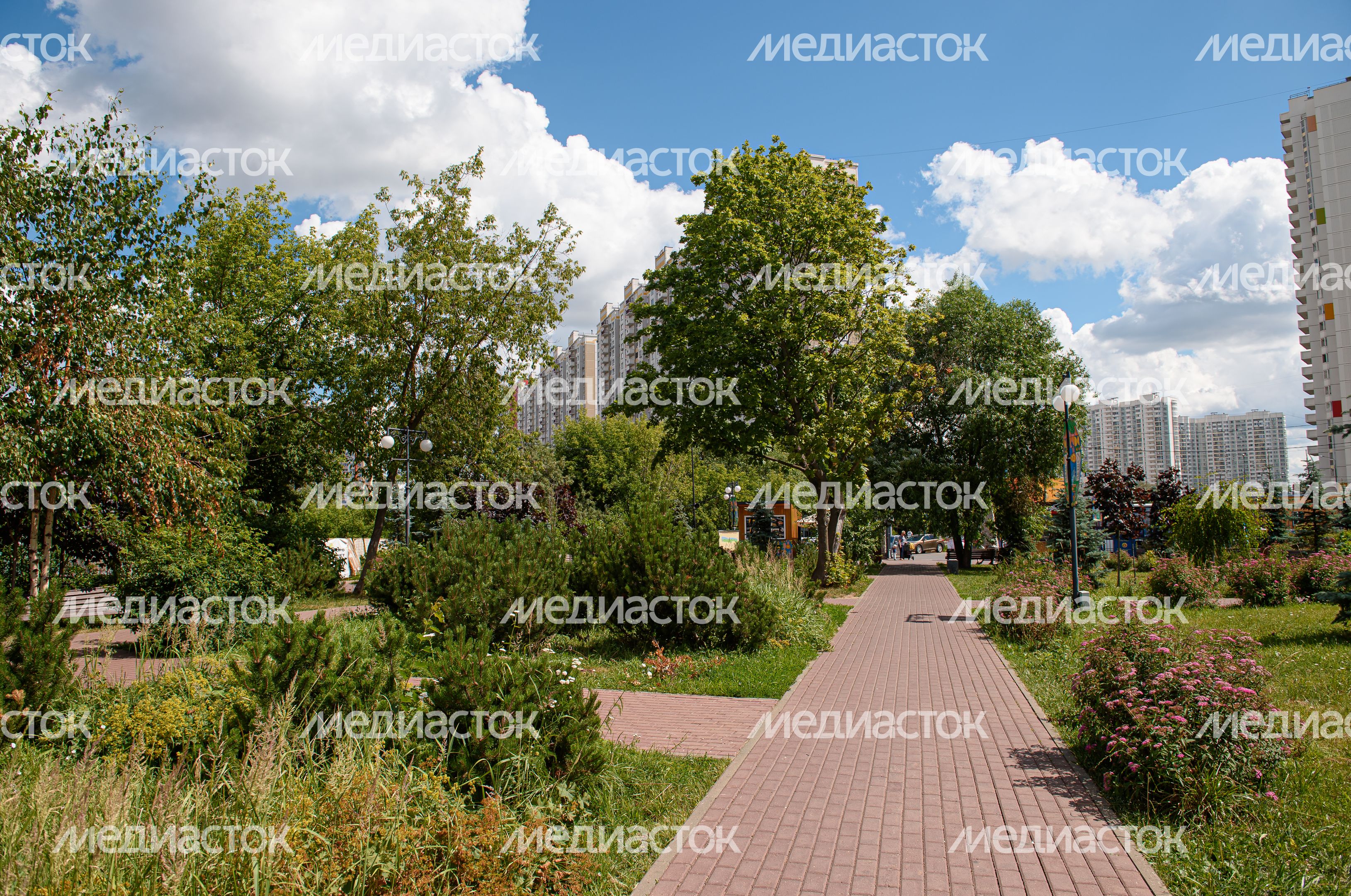 Летние виды Парка Экоберег
