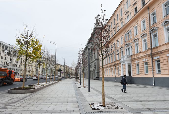 Посадка деревьев на Садовом кольце