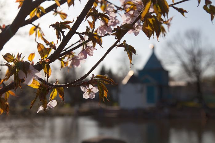 Церковь апостолов Петра и Павла в городе Дзержинский