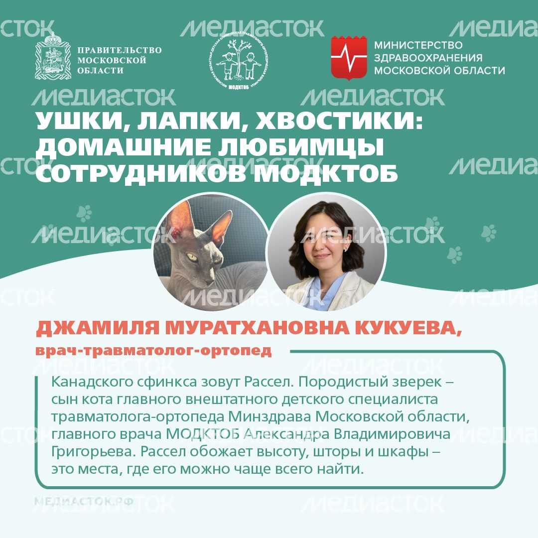 Ушки, лапки, хвостики квадрат 02
