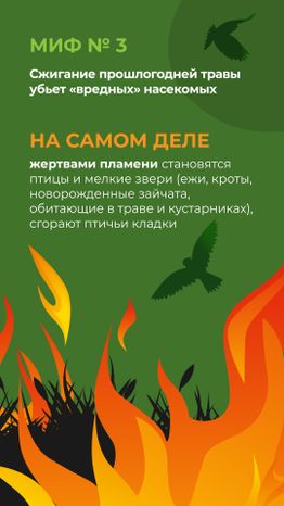 комлесхоз_пал_верт_4.jpg