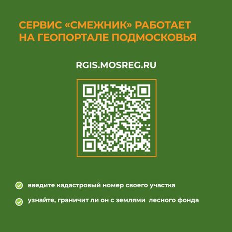 комлесхоз_пал_кв_9.jpg