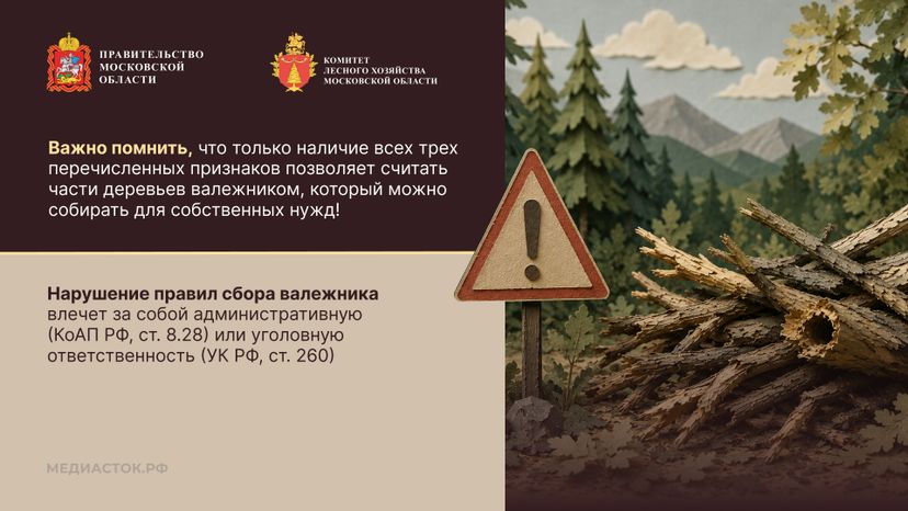 Валежник для собственных нужд горизонталь 04