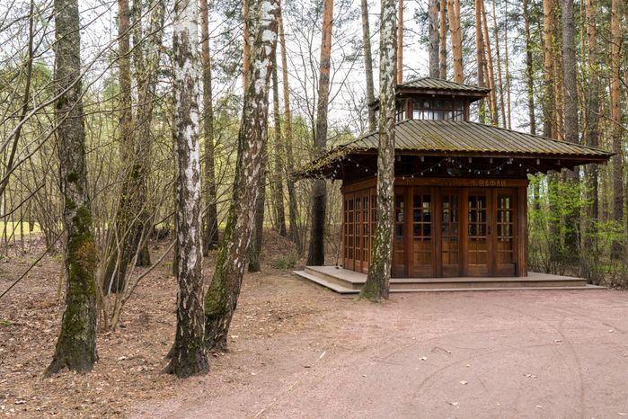 Мещерский парк в Одинцовском округе. Весна
