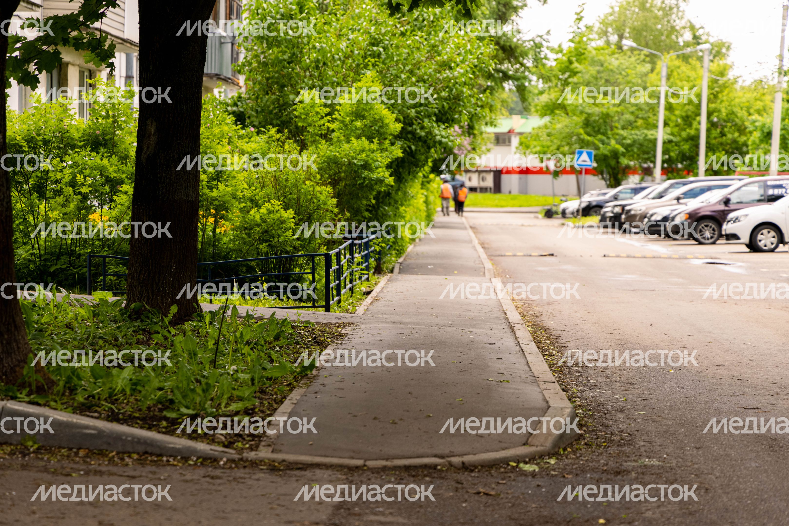 Всеволод Волосевич оценил выполнение работ по благоустройству дворовых территорий и «народных троп» Всеволод Волосевич оценил выполнение работ по благоустройству дворовых территорий и «народных троп»