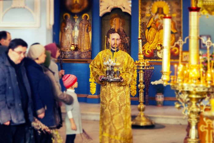 Празднование Входа Господня в Иерусалим в Подольском районе