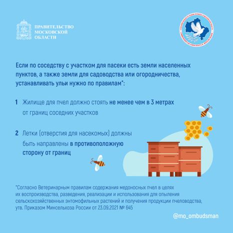 Квадрат Вопрос-ответ. Пчеловодство-03.jpg