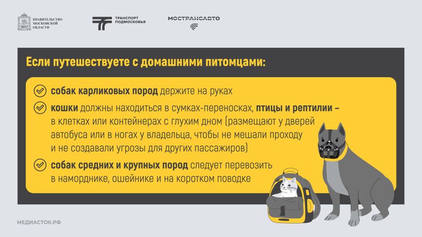 Путешествуем с Мострансавто скорость, комфорт, безопасность горизонталь 07
