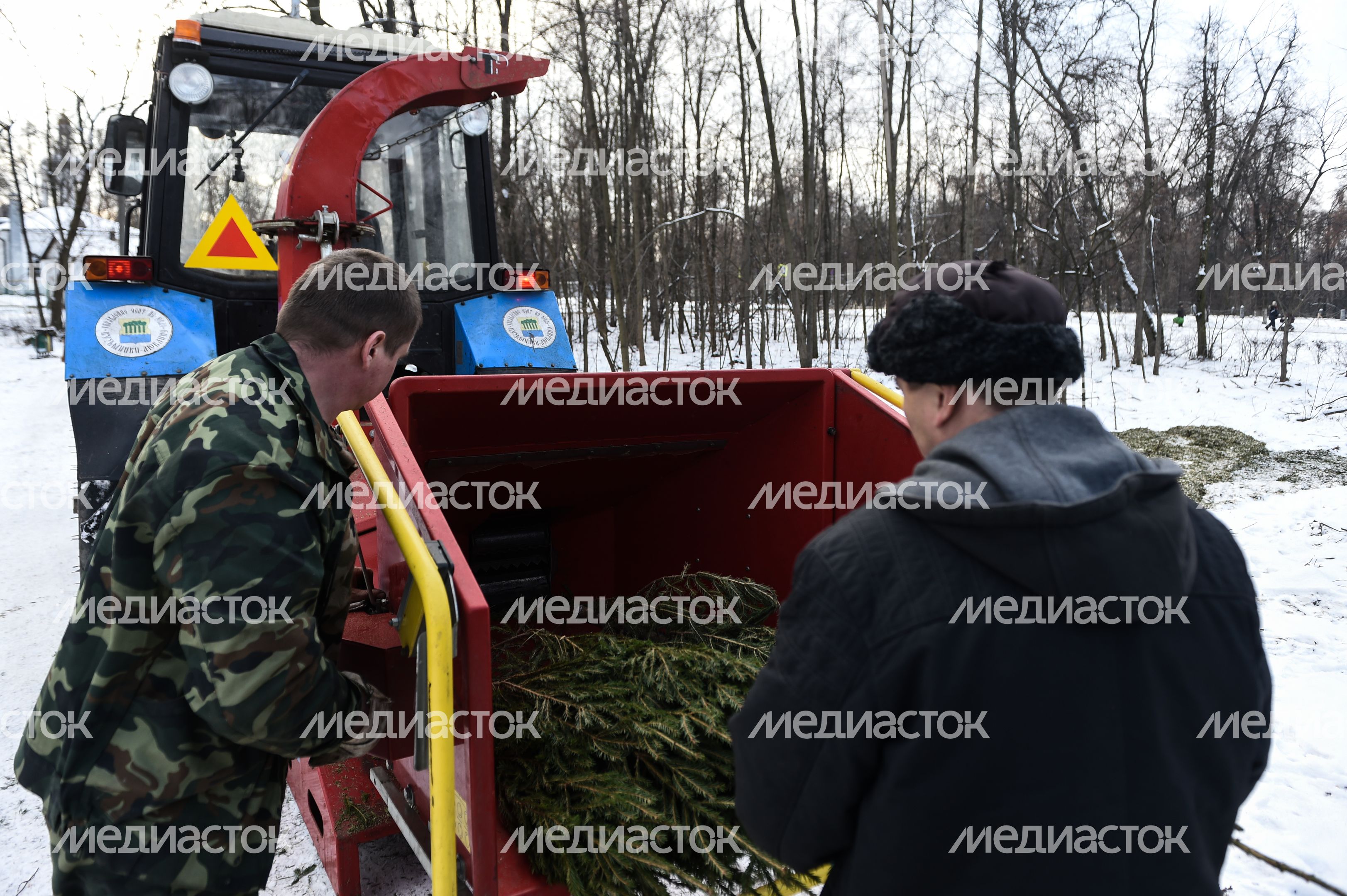 Утилизация елок после Нового года в Москве