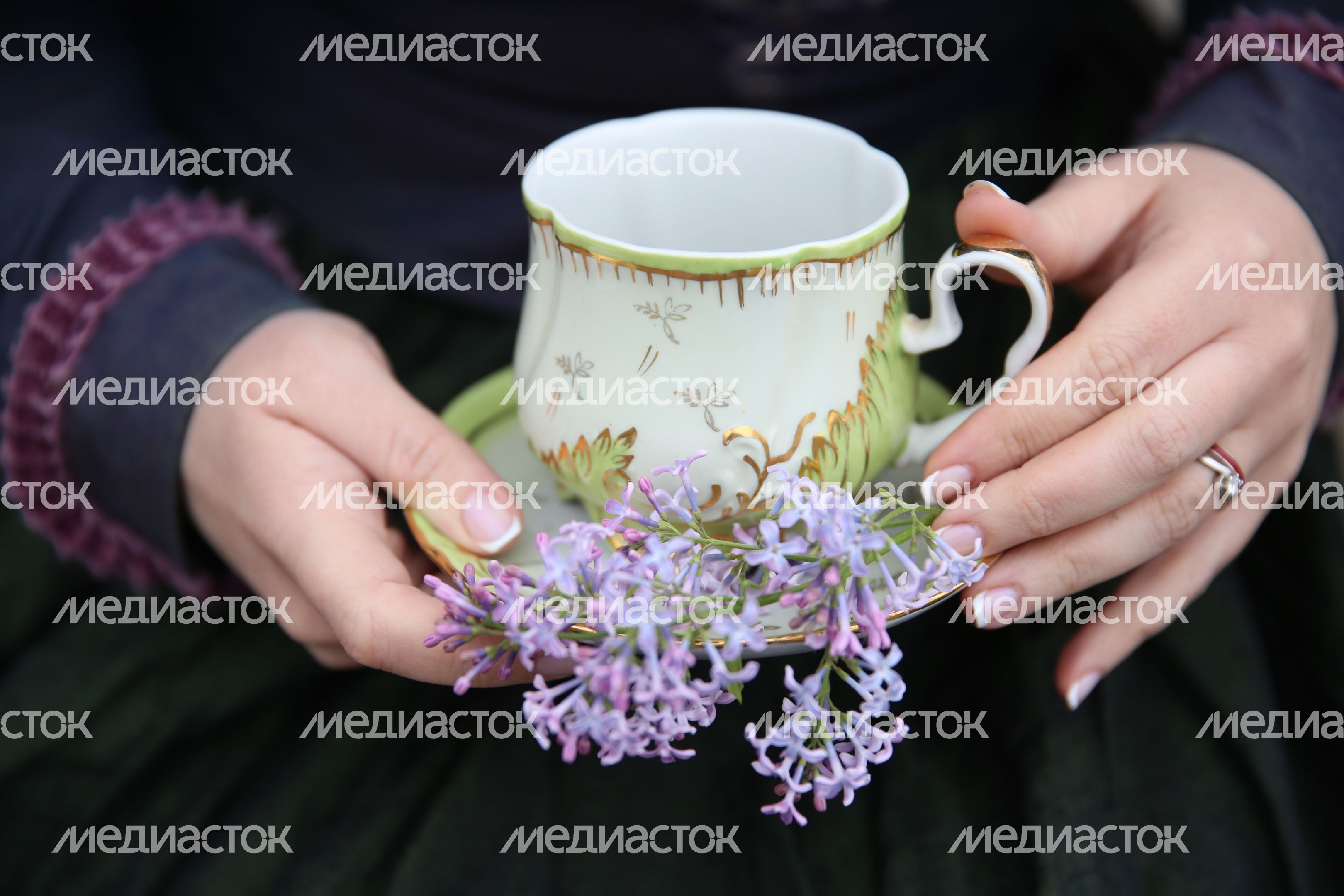 Международный фестиваль «Мир автобусов» в Коломне Международный фестиваль «Мир автобусов» в Коломне