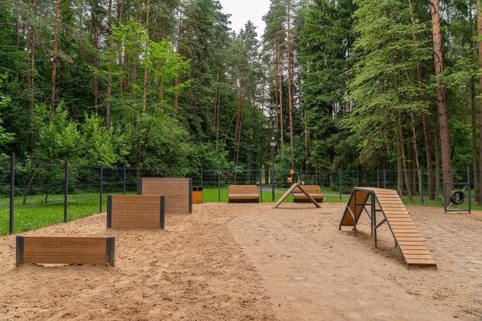 Площадка для выгула собак в лесопарке «Дубки» города Апрелевка Наро-Фоминского округа