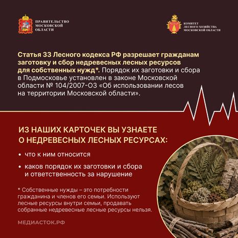 Недревесные ресурсы для собственных нужд Квадрат 02