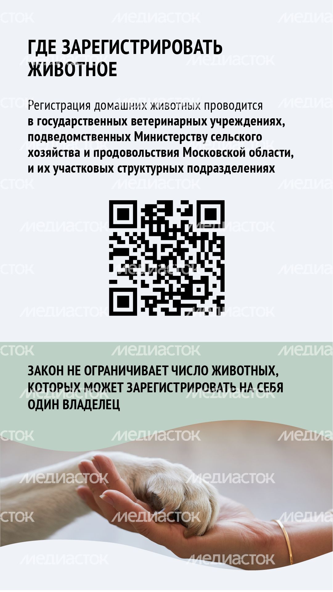 Вертикаль_ зарегистрировать домашнее животное_04-100.jpg